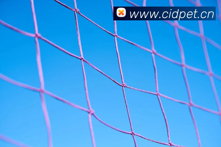 星空体育·星空官方网站，星空online(中国)品牌故事