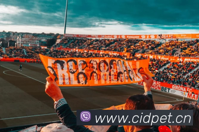 星空体育·星空官方网站，星空online(中国)服务体系